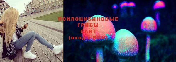 гидропоника Дмитров