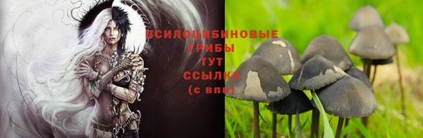 бошки Дмитровск