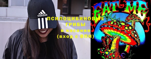 гидропоника Дмитров