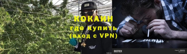 гидропоника Дмитров