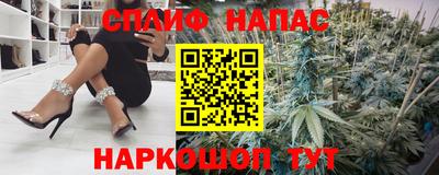 дмт Ставрополь